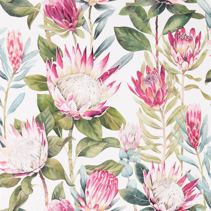 King Protea-behang-Tapete-Sanderson-Rhodera/Cream-Rol-216646-Selected Wallpapers