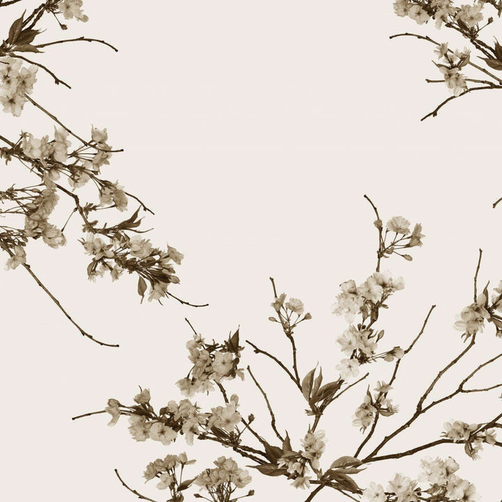 Korean Blossom-Behang-Tapete-Glamora-1A-GlamDecor-GL4011A-Selected Wallpapers