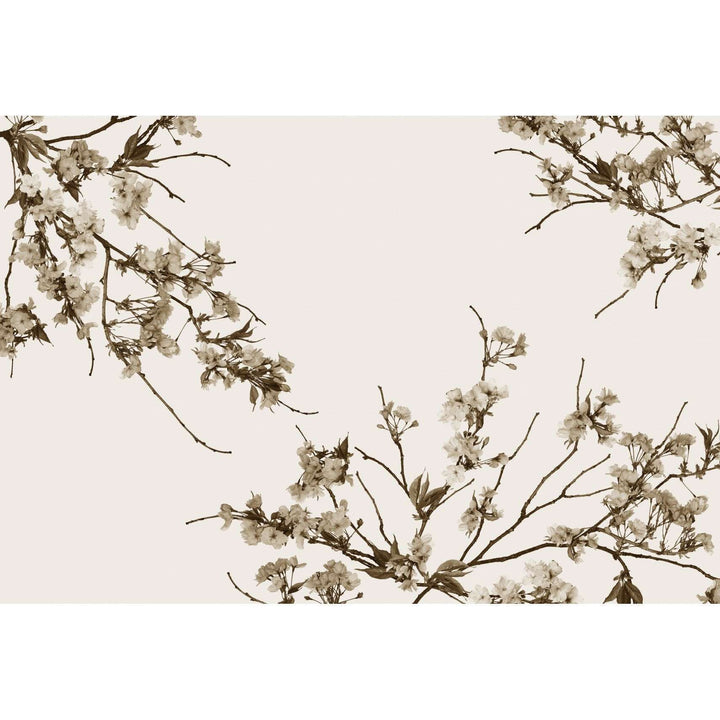 Korean Blossom-Behang-Tapete-Glamora-Selected Wallpapers