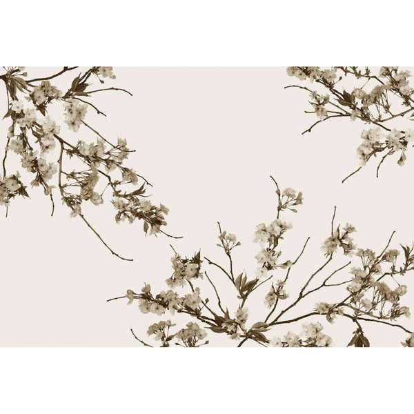 Korean Blossom-Behang-Glamora-Selected Wallpapers