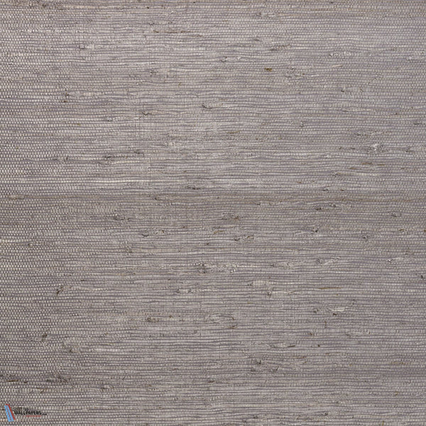 Kudzu-Wallpaper-Arte-Dove Grey-Meter (M1)-54537-Selected Wallpapers