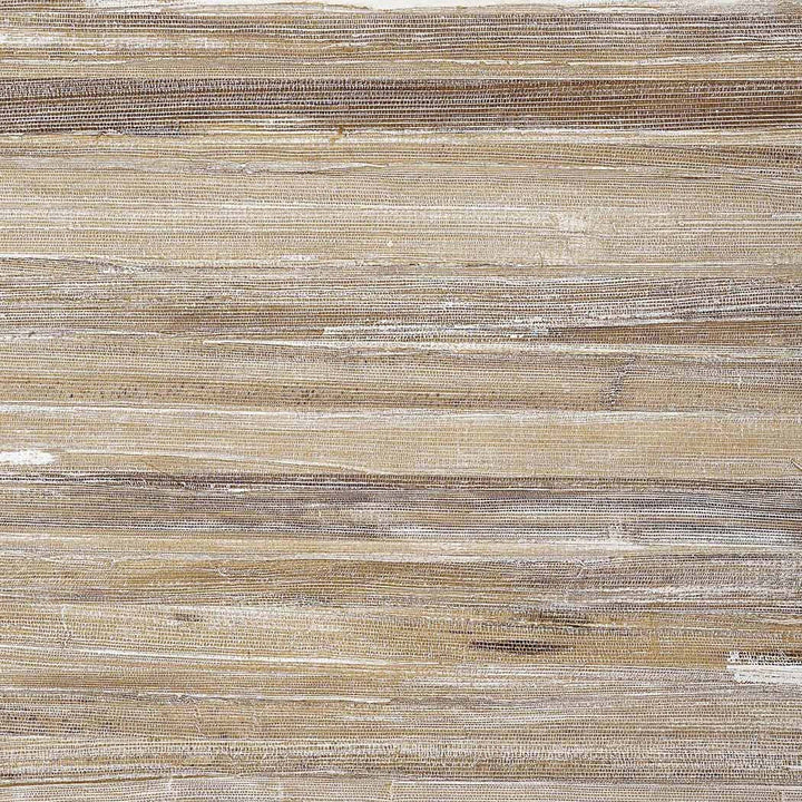 La Palma-Behang-Tapete-Thibaut-White-Rol-T24054-Selected Wallpapers