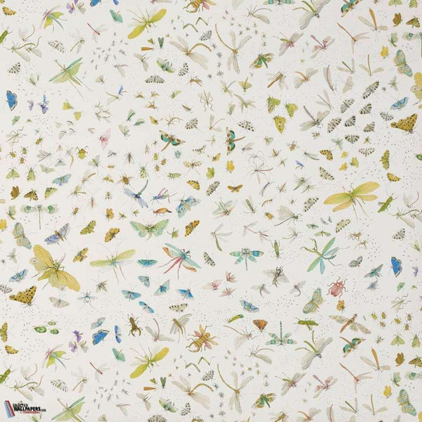 La serre aux papillons-behang-Pierre Frey-Printemps-Meter (M1)-FP583001-Selected Wallpapers