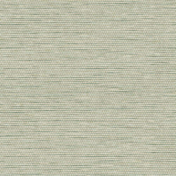 Le Papier Tissé-Tapete-Arte-Pistache-Rolle-60507-Selected Wallpapers