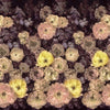 Le Poeme De Fleurs-behang-Designers Guild-Rosewood-Set-PDG1107/01-Selected Wallpapers