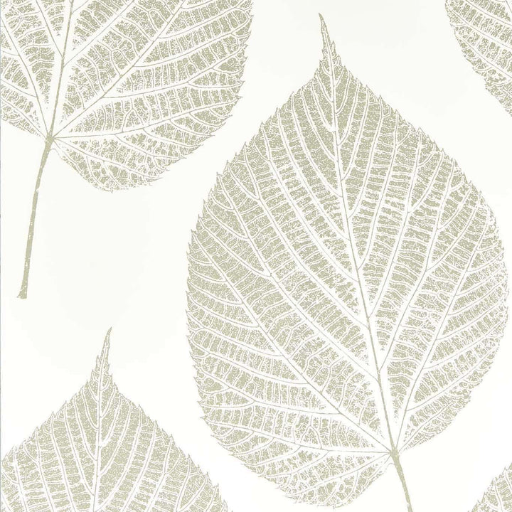 Leaf-behang-Tapete-Harlequin-Chalk/Silver-Rol-112609-Selected Wallpapers