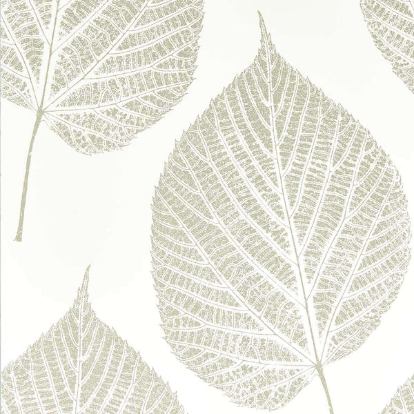 Leaf-behang-Harlequin-Chalk/Silver-Rol-112609-Selected Wallpapers