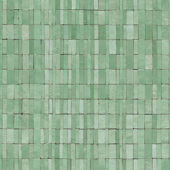 Lemta-Behang-Tapete-Astere-Argile-Rol-AST NT 036 07-Selected Wallpapers