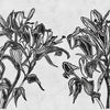 Lily-behang-LondonArt-02-RAW-S120-20054 02-Selected Wallpapers