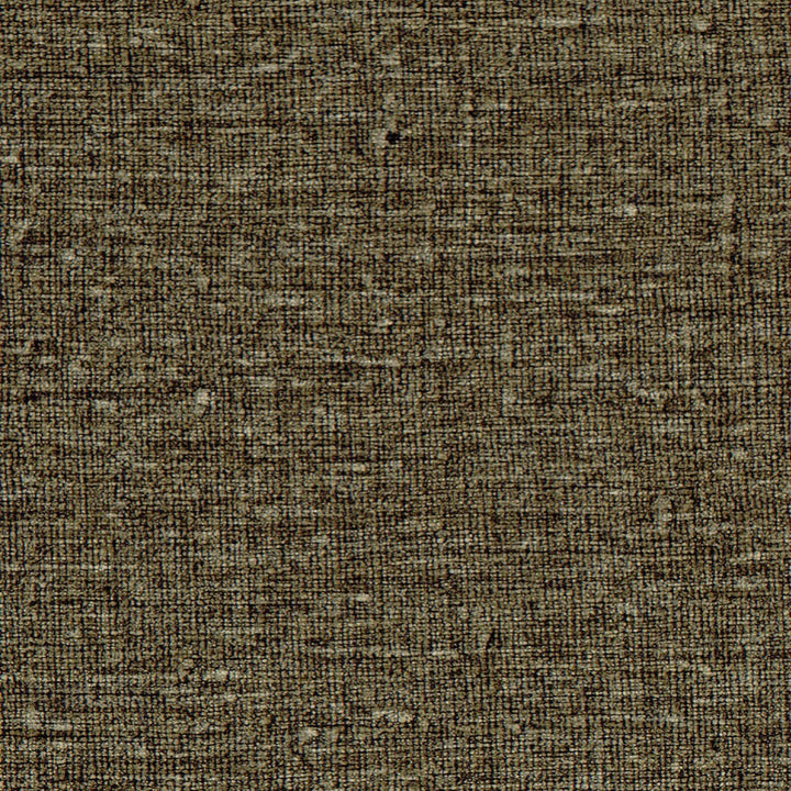 Lin-Behang-Tapete-Elitis-22-Rol-VP 953 22-Selected Wallpapers