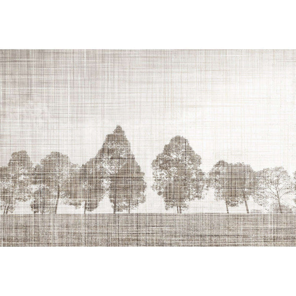 Linden Tree-Tapete-INSTABILELAB-Selected Wallpapers