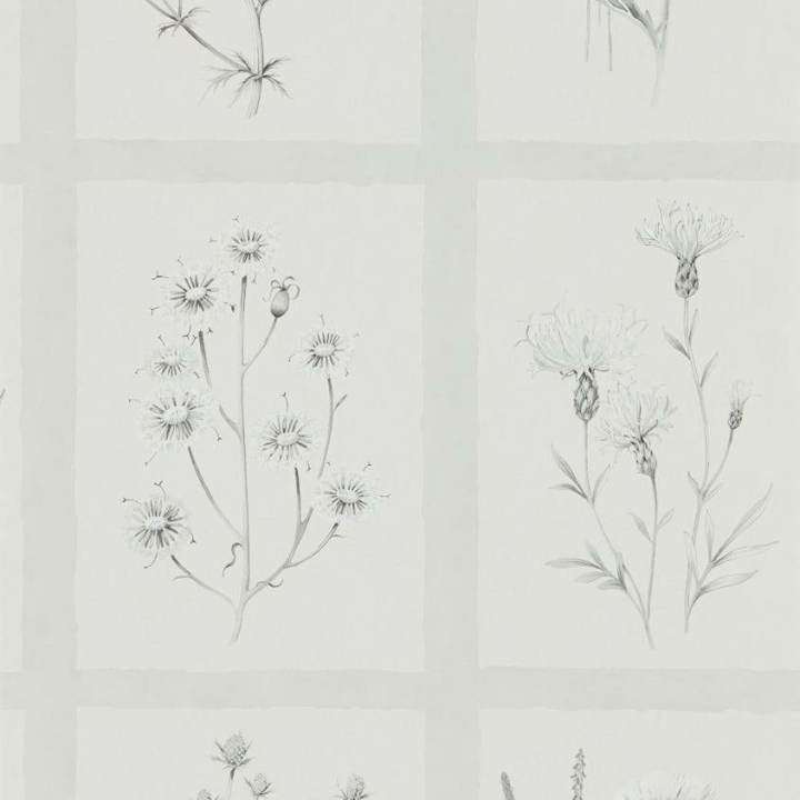 Little Thistles-behang-Tapete-Sanderson-Pewter-Rol-216512-Selected Wallpapers
