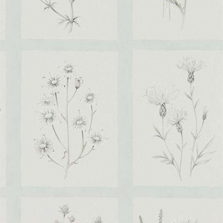 Little Thistles-behang-Tapete-Sanderson-Grey/Blue-Rol-216513-Selected Wallpapers