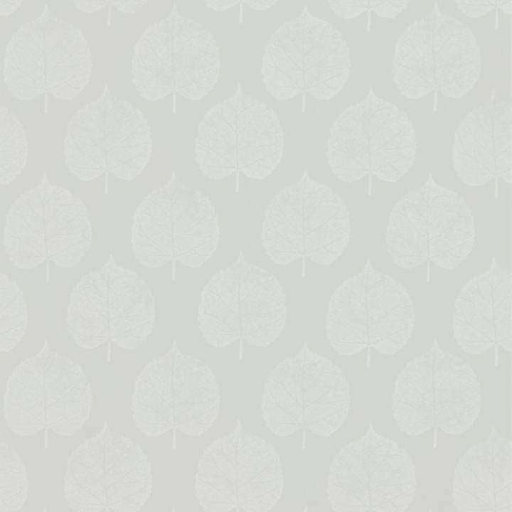 Lyme Leaf-behang-Tapete-Sanderson-Dove-Rol-216384-Selected Wallpapers