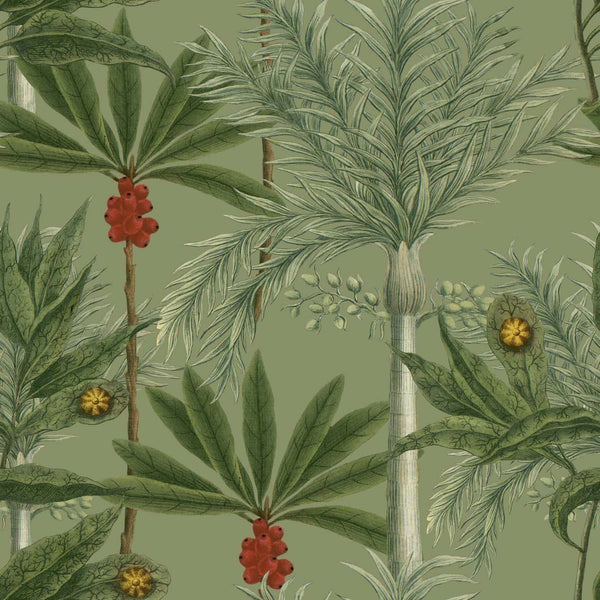 Madagascar-behang-Mind the Gap-Groen-300 cm (standaard)-WP20520-Selected Wallpapers