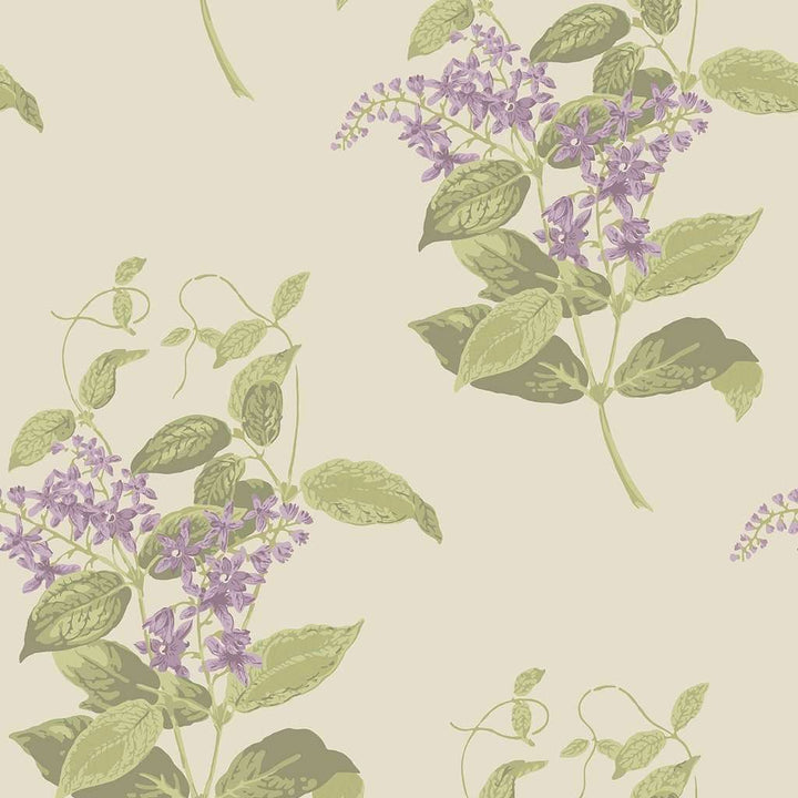 Madras Violet-Behang-Tapete-Cole & Son-Purple & Olive-Rol-100/12056-Selected Wallpapers