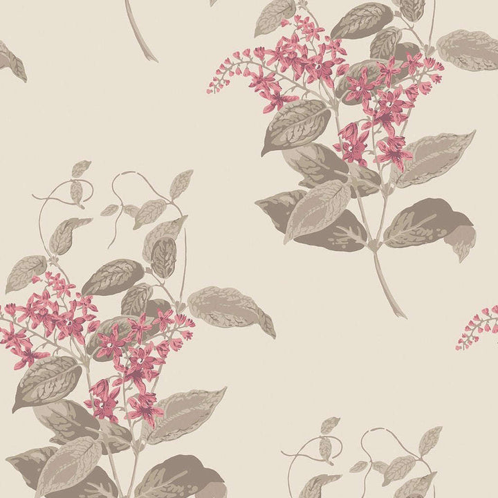 Madras Violet-Behang-Tapete-Cole & Son-Fuchsia & Linen-Rol-100/12058-Selected Wallpapers