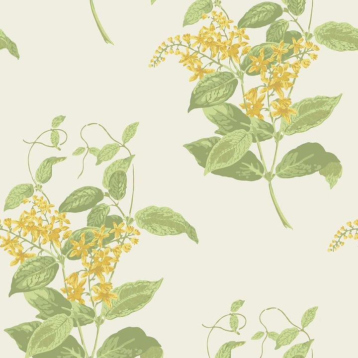 Madras Violet-Behang-Tapete-Cole & Son-Yellow & Linen-Rol-100/12059-Selected Wallpapers