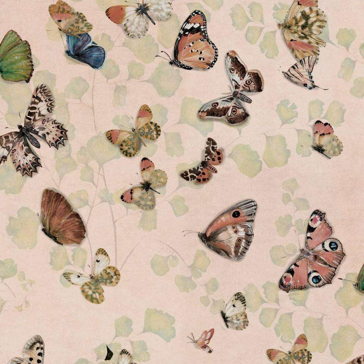 Magic Butterflies-Behang-Tapete-Coordonne-Sweet-Rol-9500052-Selected Wallpapers