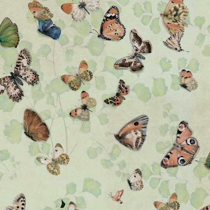 Magic Butterflies-Behang-Tapete-Coordonne-Maca-Rol-9500053-Selected Wallpapers