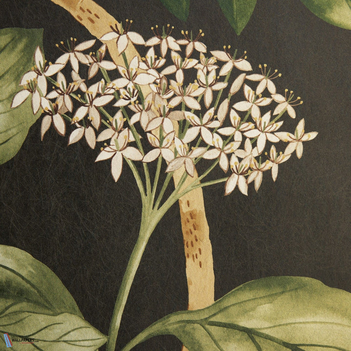 Magical Plants-Behang-Tapete-Liberty-Jade-Meter (M1)-07292201I-MT-Selected Wallpapers