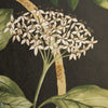Magical Plants-Wallpaper-Liberty-Jade-Meter (M1)-07292201I-MT-Selected Wallpapers