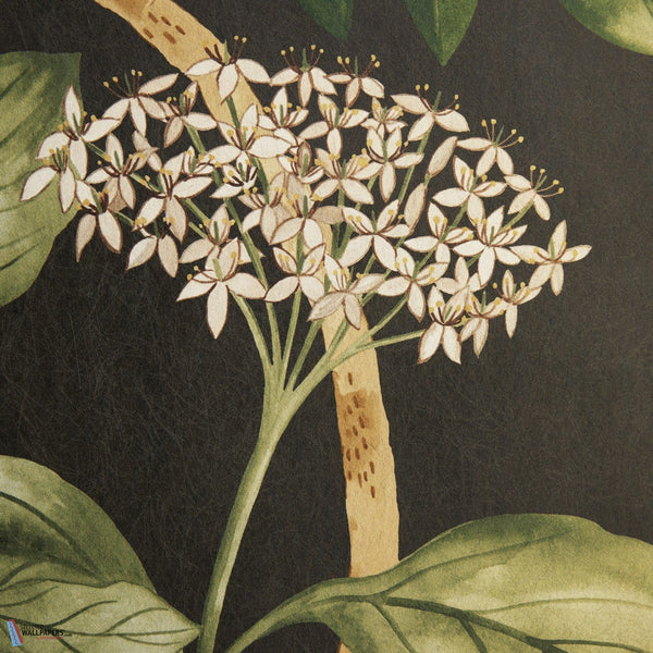 Magical Plants-Tapete-Liberty-Jade-Meter (M1)-07292201I-MT-Selected Wallpapers
