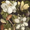 Magnolia-behang-Mind the Gap-Multicolor-300 cm (standaard)-WP20152-Selected Wallpapers