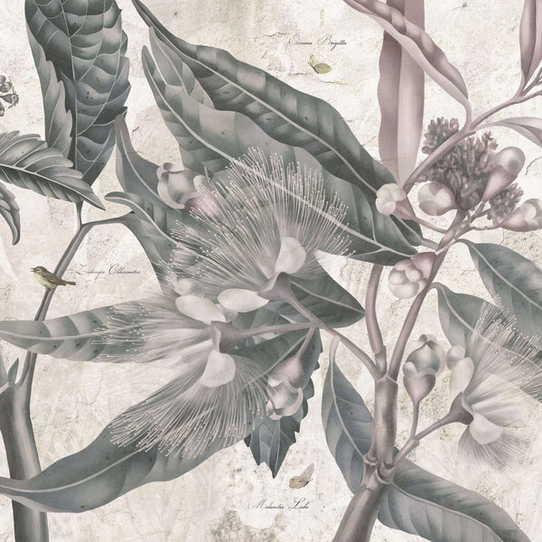Malcy-Behang-Les Dominotiers-Non Woven 70 cm-M2-DOM608-Selected Wallpapers