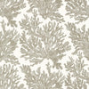 Marine Coral-Behang-Thibaut-Beige-Rol-T10140-Selected Wallpapers