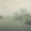 Matinée-behang-Glamora-1A-GlamDecor-GLX541A-Selected Wallpapers
