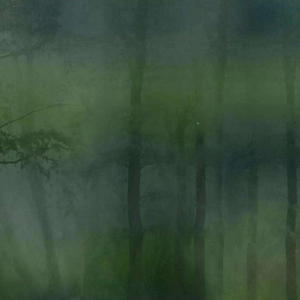 Mistery-behang-Glamora-1A-GlamFusion-GLF831A-Selected Wallpapers
