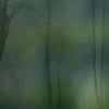 Mistery-behang-Glamora-1B-GlamFusion-GLF831B-Selected Wallpapers