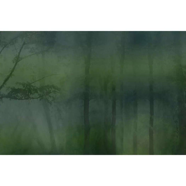 Mistery-behang-Glamora-Selected Wallpapers