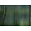 Mistery-behang-Glamora-Selected Wallpapers