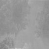 Mistras-behang-Glamora-2B-GlamDecor-GLXIII442B-Selected Wallpapers
