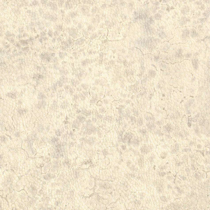 Moon-behang-Tapete-Nobilis-0-Meter (M1)-DPN20-Selected Wallpapers