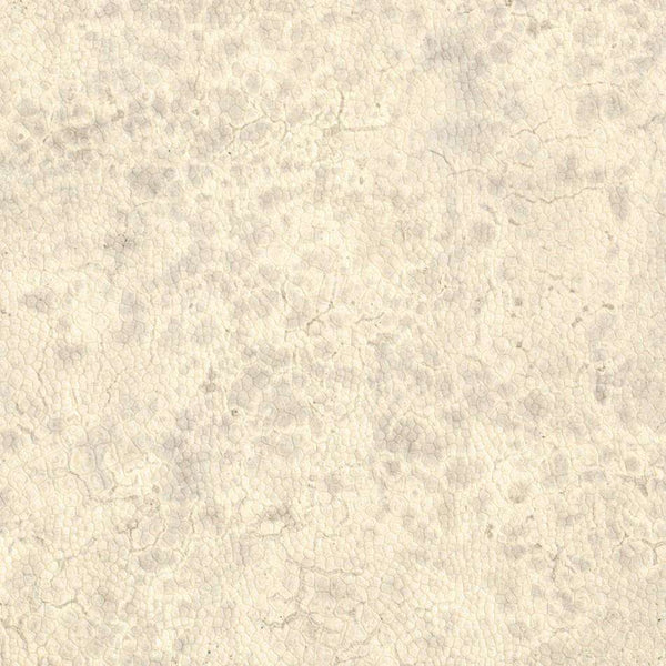Moon-behang-Nobilis-0-Meter (M1)-DPN20-Selected Wallpapers