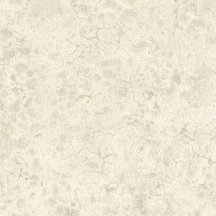 Moon-behang-Tapete-Nobilis-1-Meter (M1)-DPN21-Selected Wallpapers