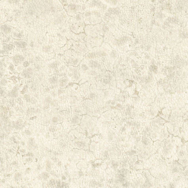 Moon-behang-Nobilis-1-Meter (M1)-DPN21-Selected Wallpapers