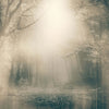 Moonlight-Behang-Inkiostro Bianco-1-Vinyl 68 cm-INKNEHA2201-Selected Wallpapers