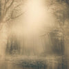 Moonlight-Behang-Inkiostro Bianco-2-Vinyl 68 cm-INKNEHA2202-Selected Wallpapers