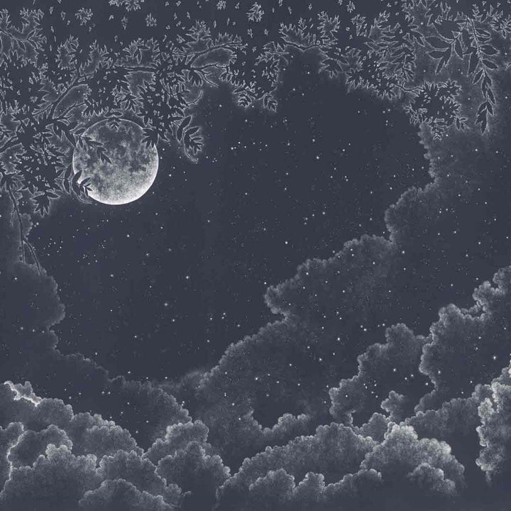 Moonlight-behang-Tapete-Les Dominotiers-Blue-Non Woven 70 cm-DOM302-Selected Wallpapers