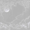 Moonlight-behang-Les Dominotiers-Grey-Non Woven 70 cm-DOM302/1-Selected Wallpapers