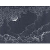 Moonlight-behang-Les Dominotiers-Selected Wallpapers