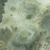 Mufarina-Behang-Wall & Deco-02-Wet System-WET_MU2102-Selected Wallpapers