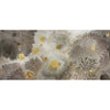 Mufarina-Behang-Wall & Deco-Selected Wallpapers