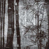 Mystic Garden-behang-Inkiostro Bianco-2-Vinyl 68 cm-INKMG1302-Selected Wallpapers