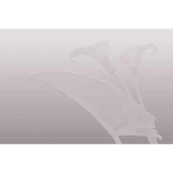 Nancy Clare-Behang-Glamora-Selected Wallpapers