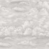 Nelle Nuvole-behang-LondonArt-02-RAW-S120-18027 02-Selected Wallpapers